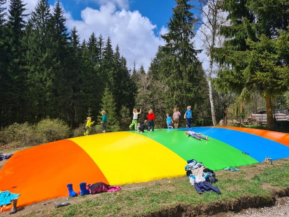 Horsky Penzion U Splavu Josefův Důl Buitenkant foto